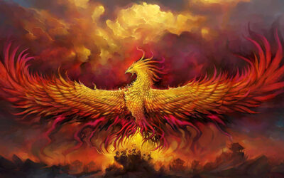 Out of the Ashes of Shame, A Phoenix Risen